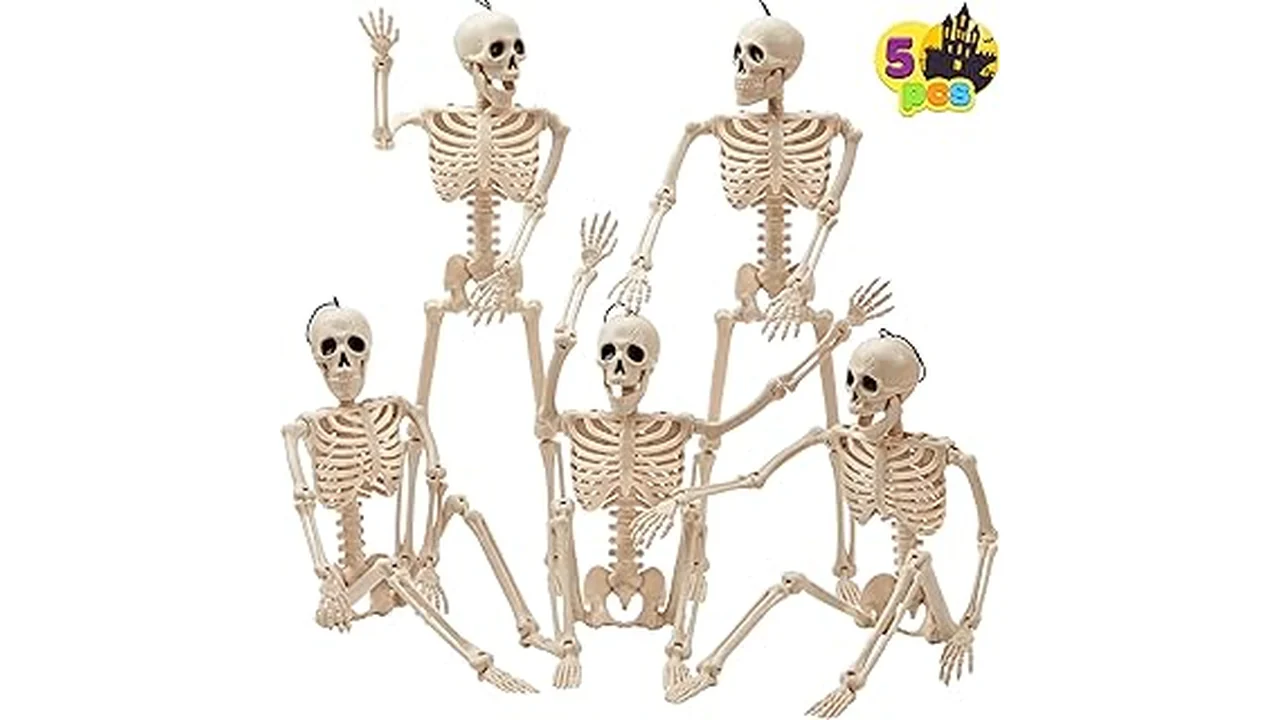 The image shows a variety of Top Rated 10 Skeleton Decor for Halloween, including realistic and playful designs.